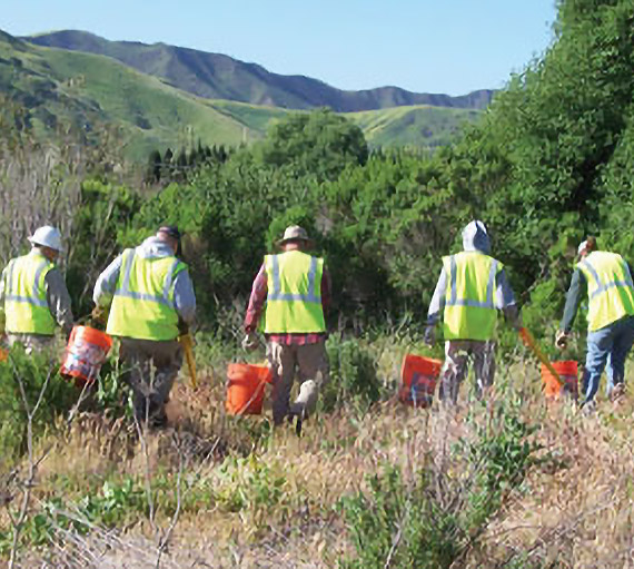 Photo of employees working in the field